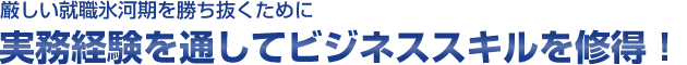 厳しい就職氷河期を勝ち抜くために実務経験を通してビジネススキルを修得！